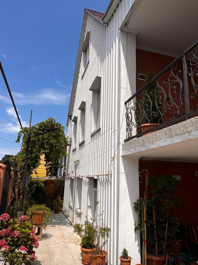 Guest House Chexovi 24 코불레티 외부 사진