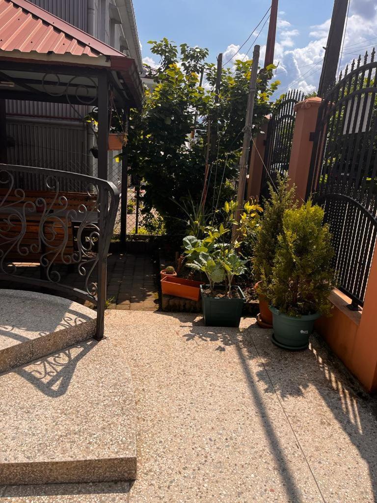 Guest House Chexovi 24 코불레티 외부 사진