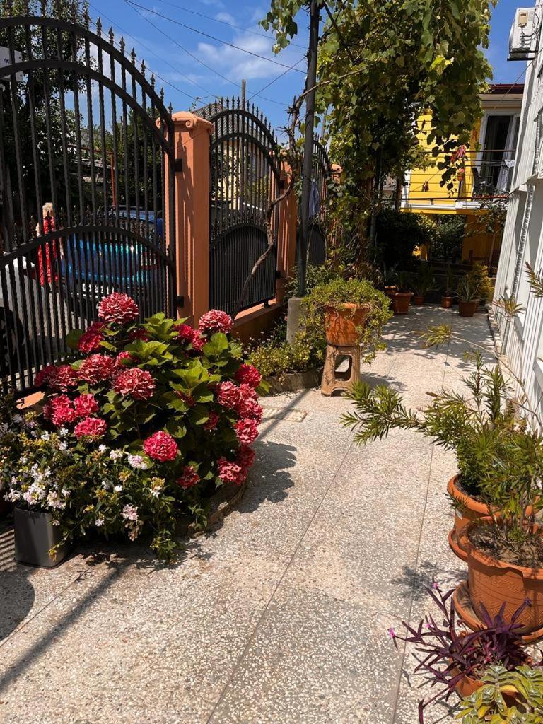 Guest House Chexovi 24 코불레티 외부 사진